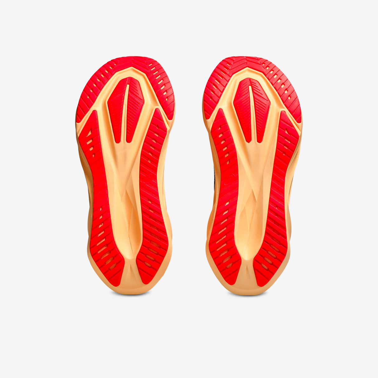 Asics - Novablast 5 - Homme