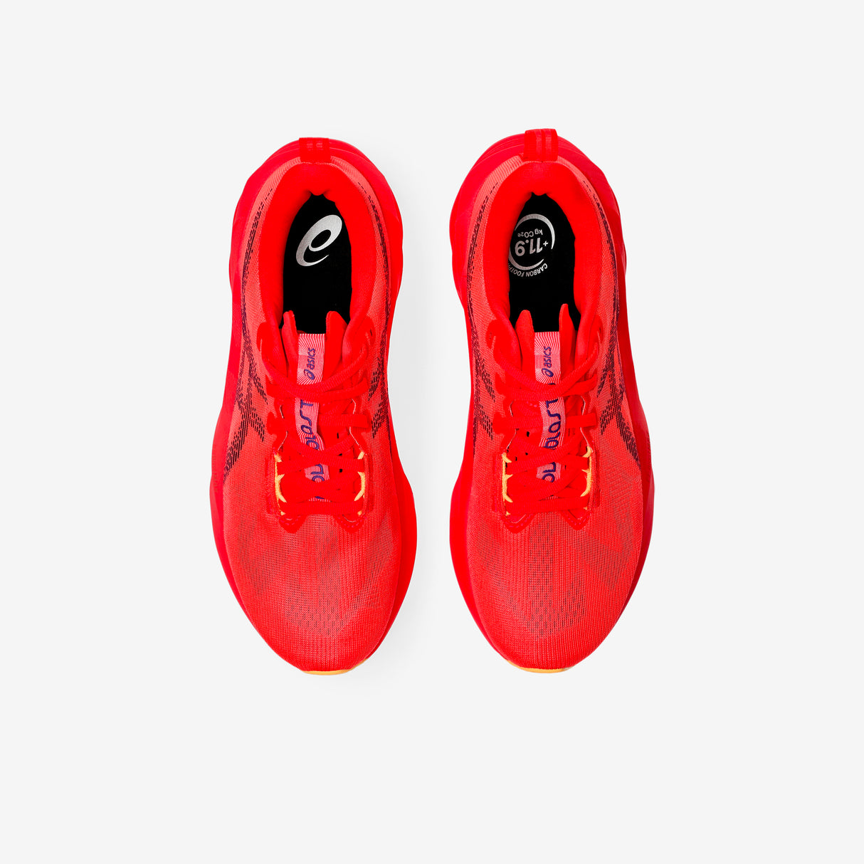 Asics - Novablast 5 - Homme