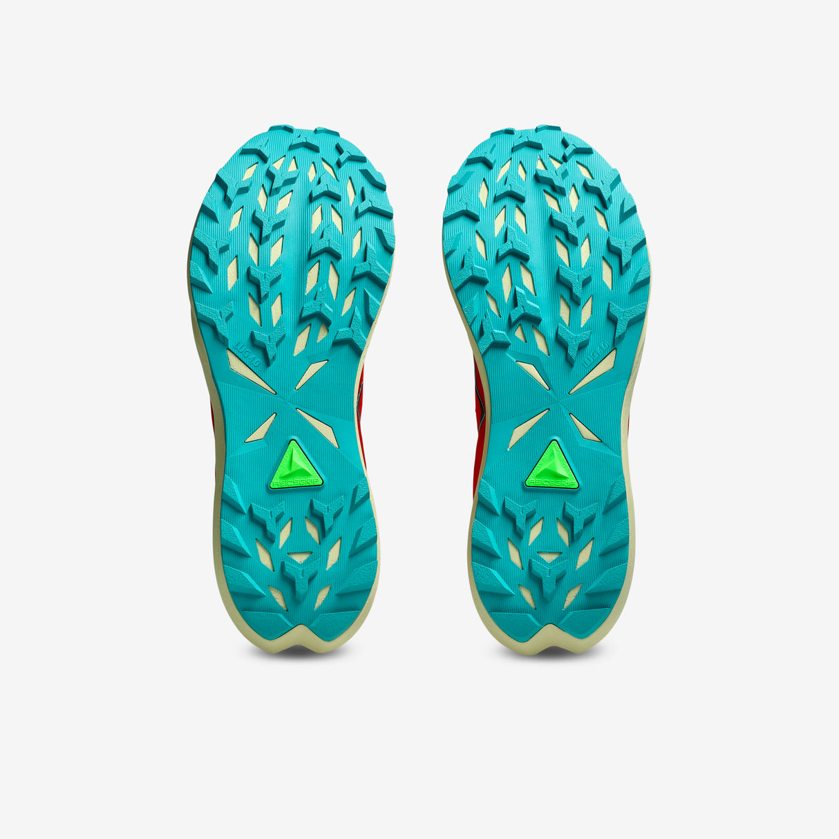 Asics - Fuji Lite 6 - Homme