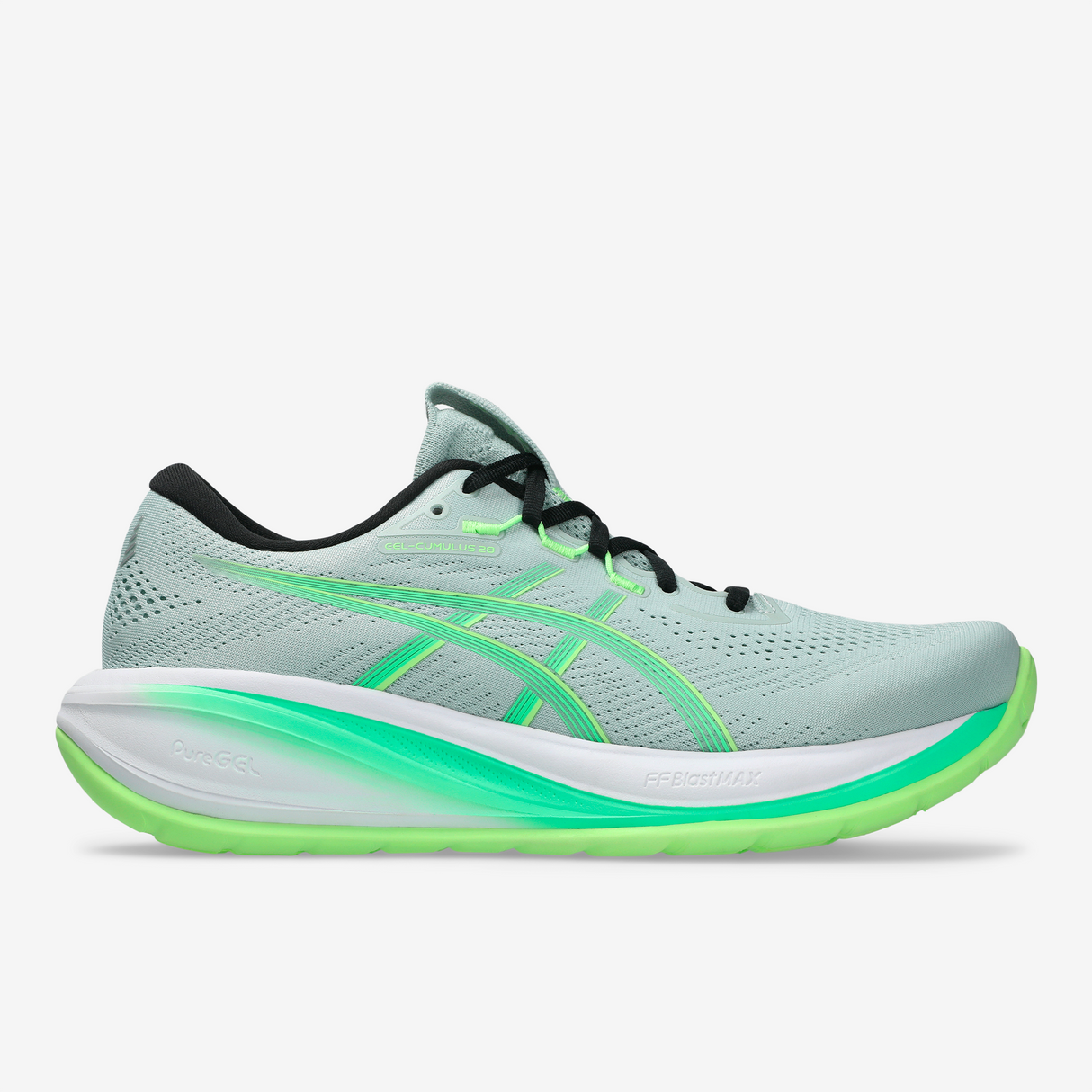 Asics - Gel-Cumulus 28 - Homme