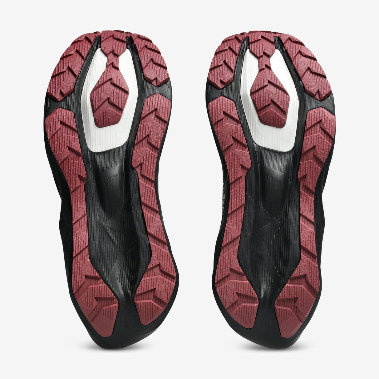 Asics - Novablast 6 GTX - Homme