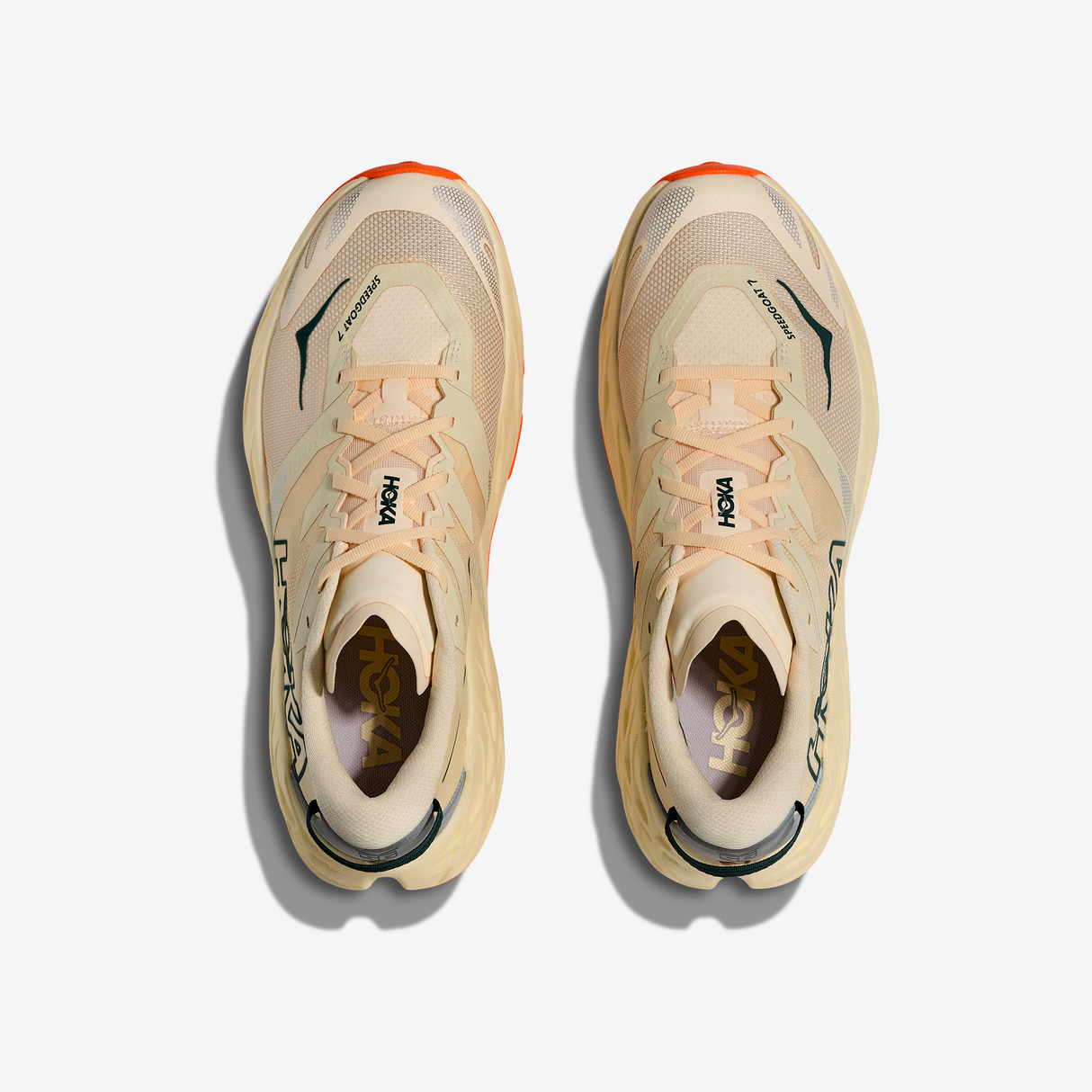 Hoka - Speedgoat 7 - Homme