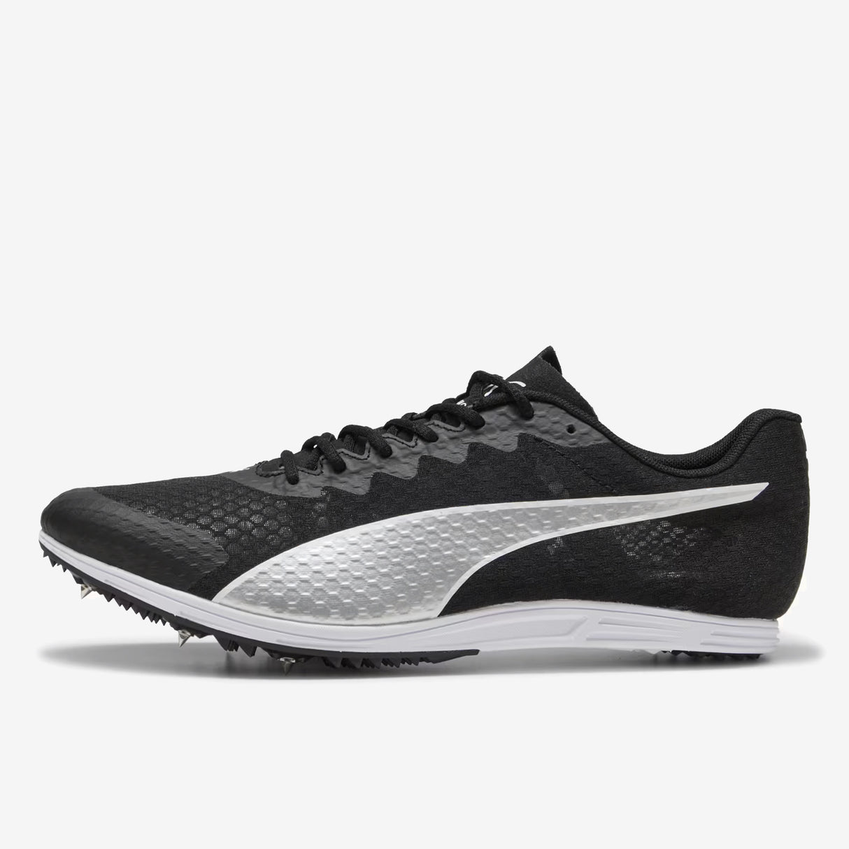 Puma - Evospeed Distance 11 - Unisex