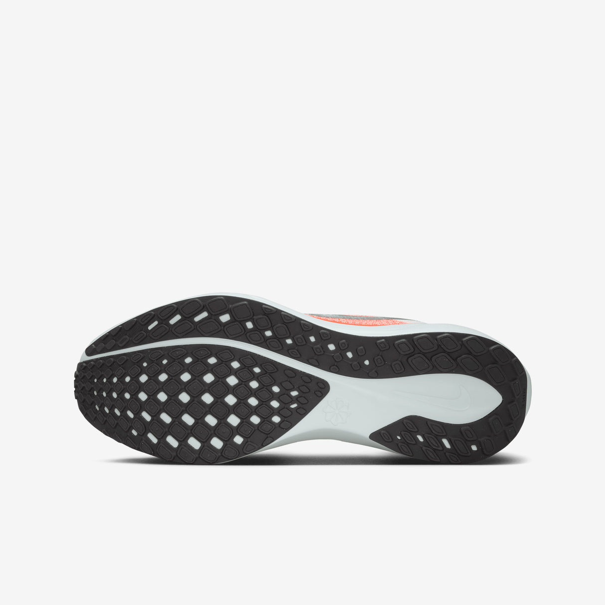 Nike - Pegasus 41 - Men