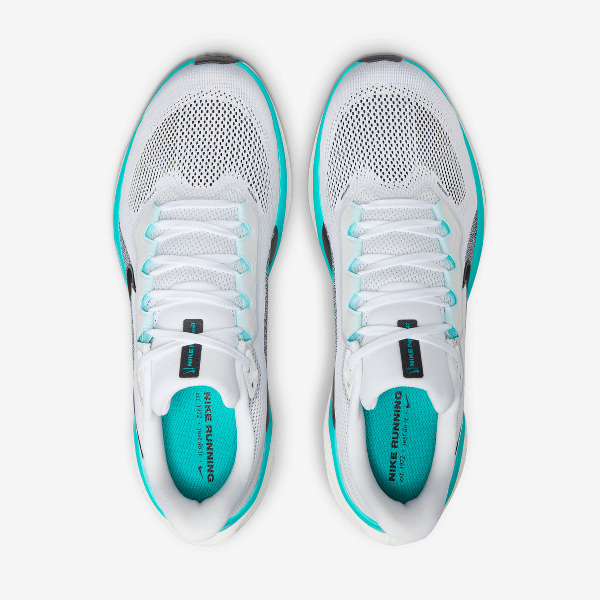 Nike - Pegasus 41 - Men