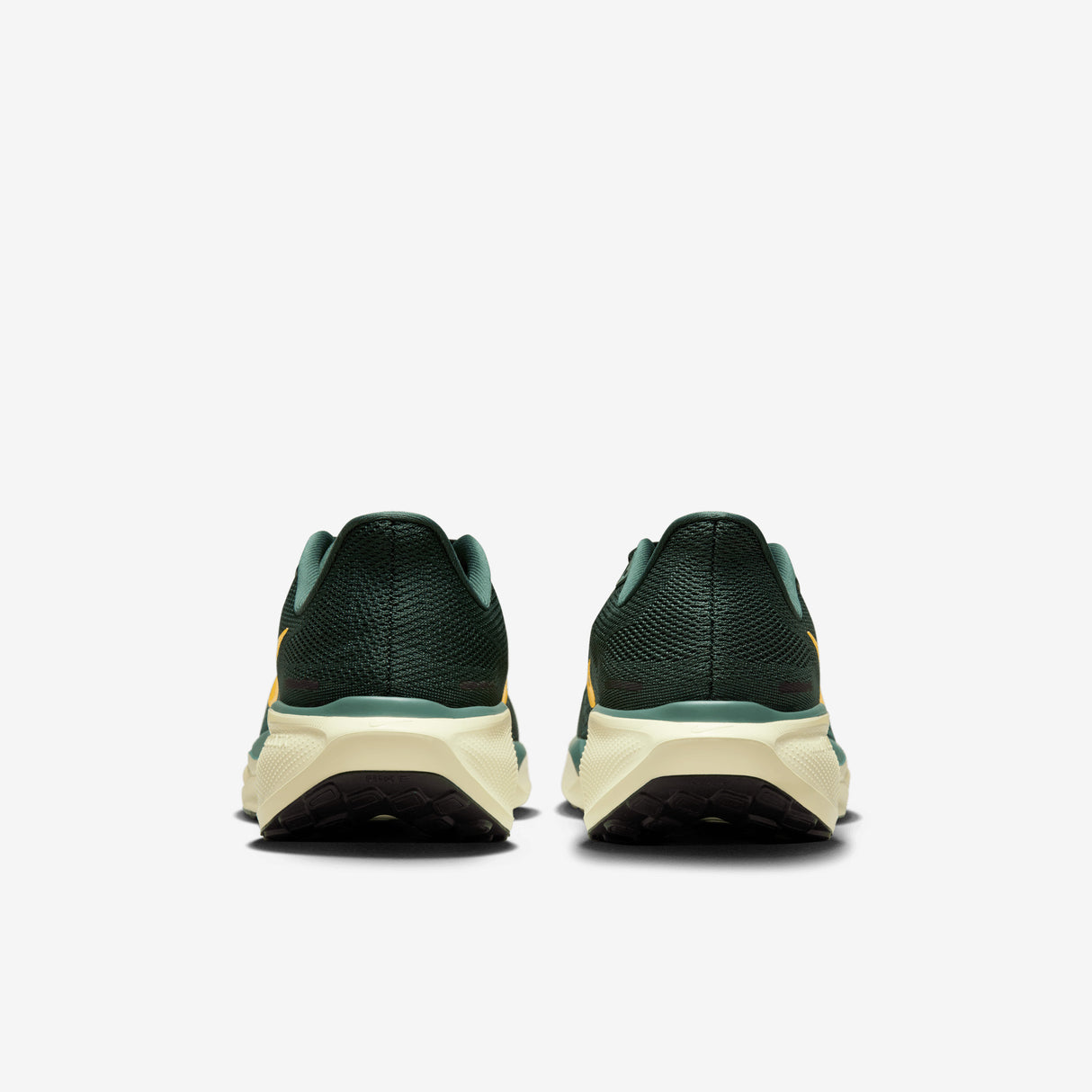 Nike - Pegasus 41 - Men