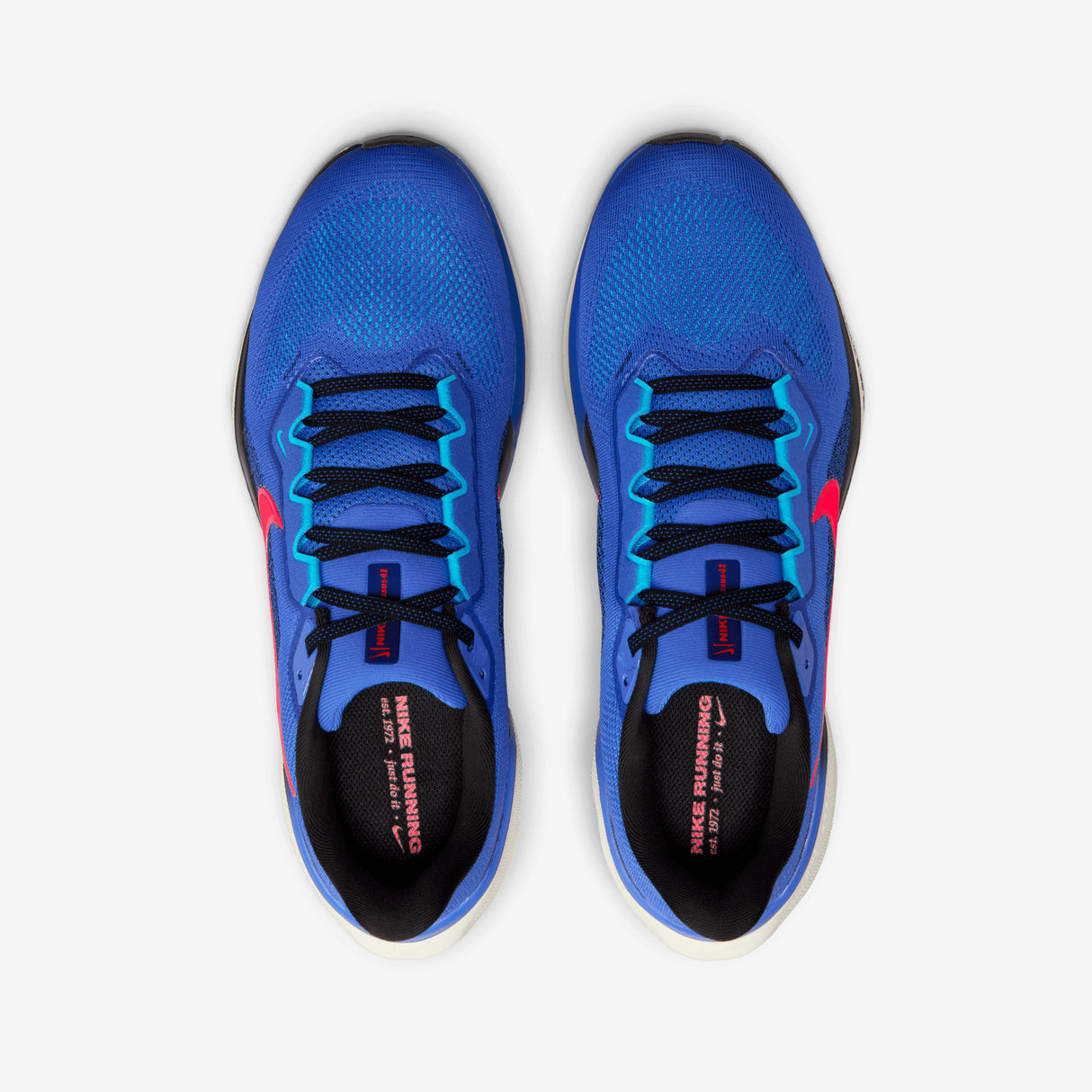 Nike - Pegasus 41 - Men