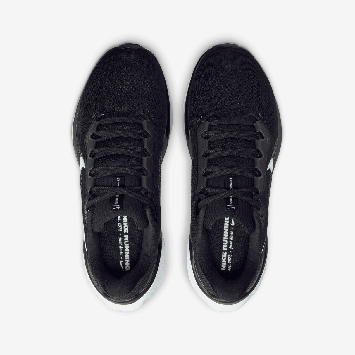 Nike - Pegasus 41 - Women