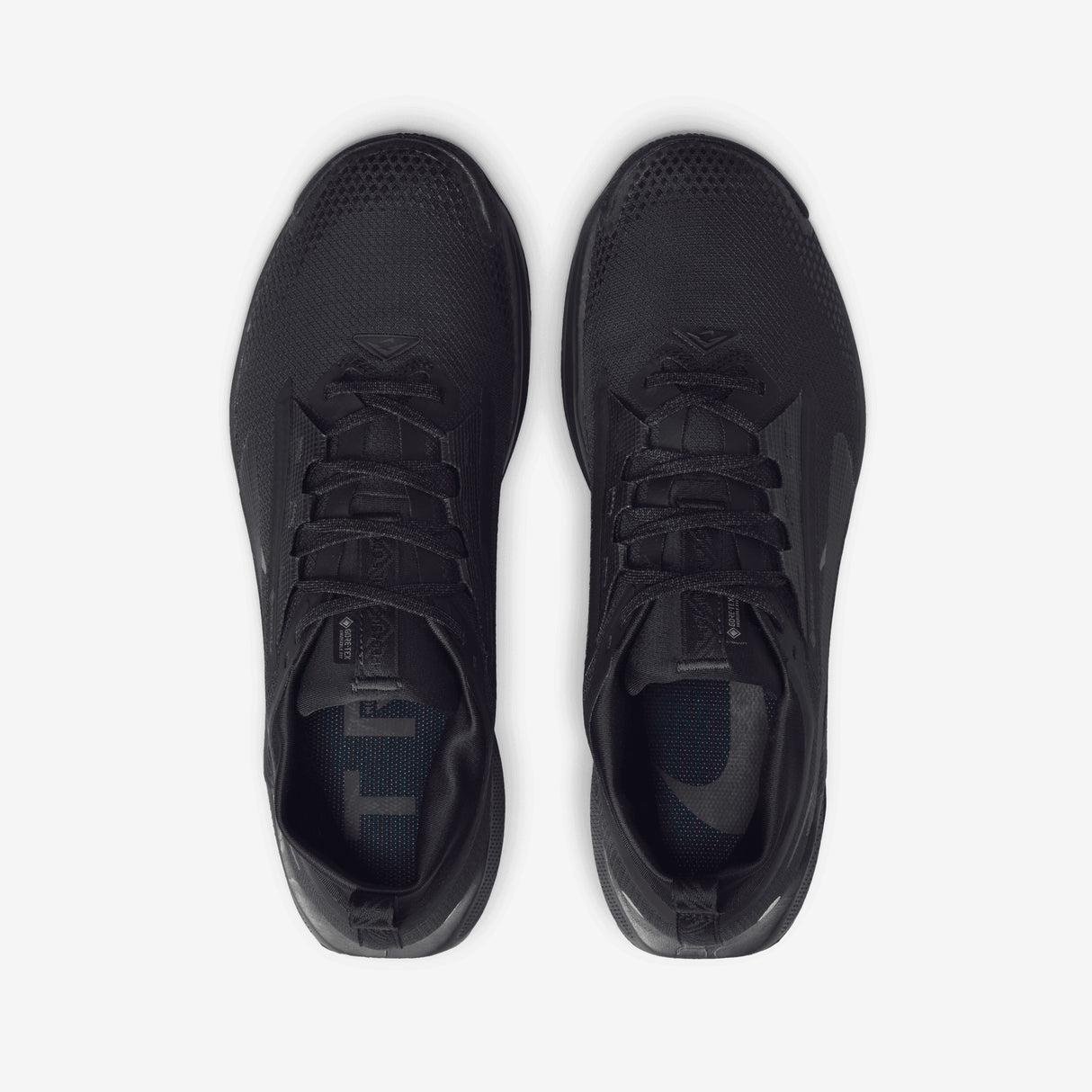 Nike - Pegasus Trail 5 Gore-Tex - Homme