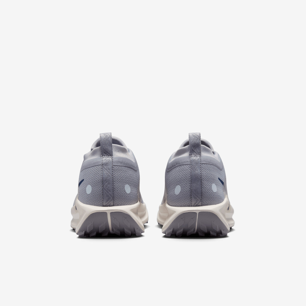 Nike - Pegasus Trail 5 Gore-Tex - Homme