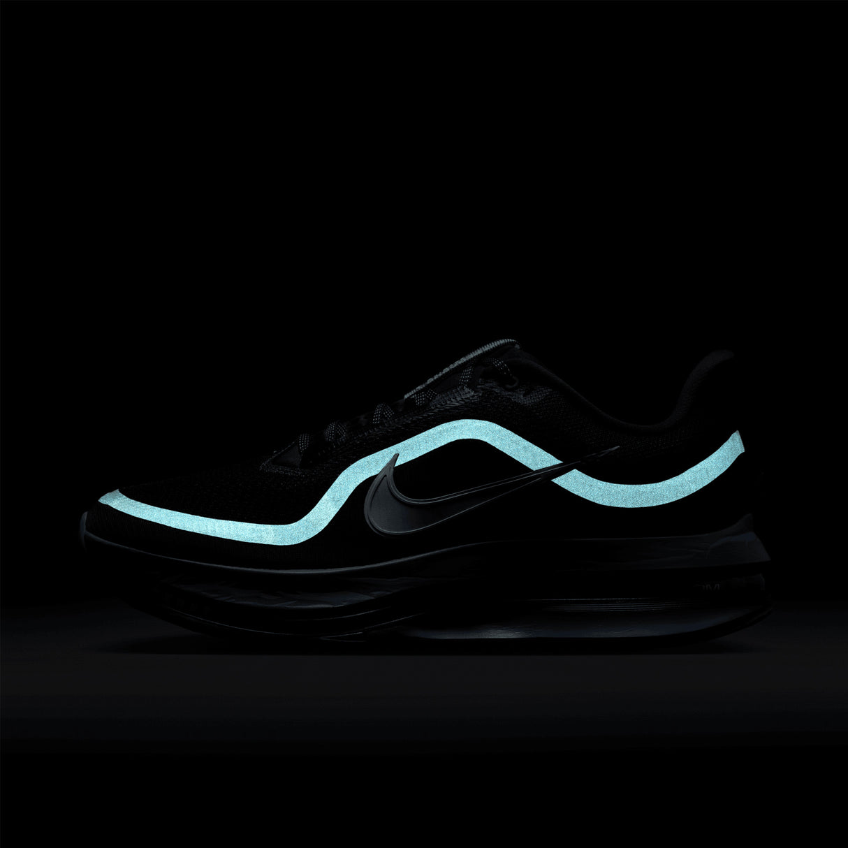 Nike - Pegasus Premium - Homme