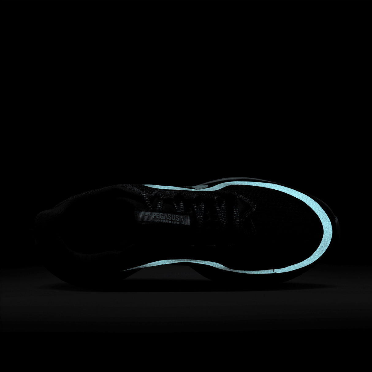 Nike - Pegasus Premium - Homme