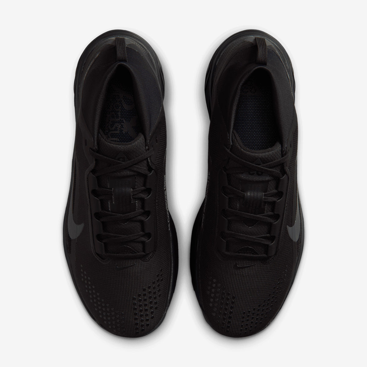 Nike - ACG Pegasus Trail GTX - Homme