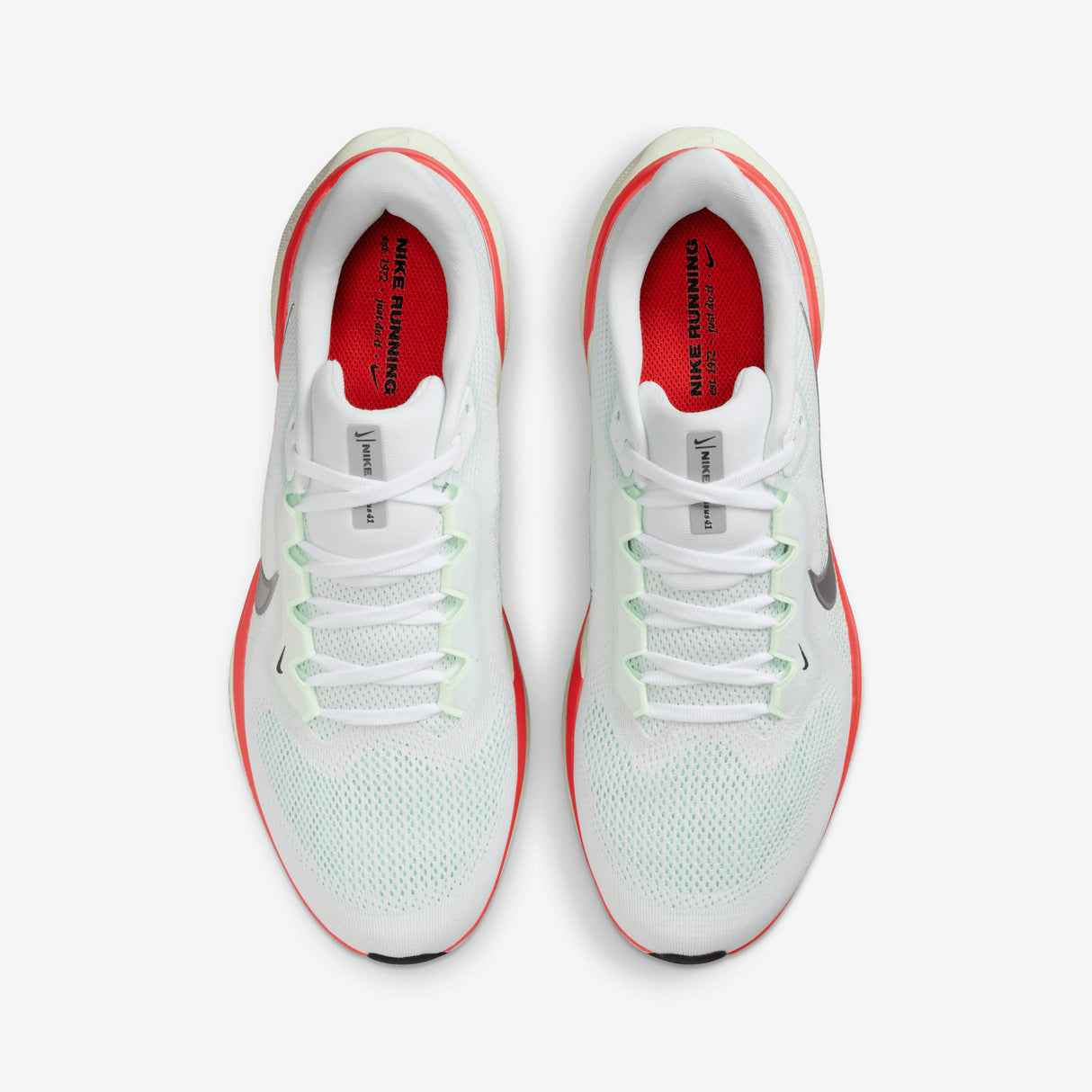 Nike - Pegasus 41 - Men