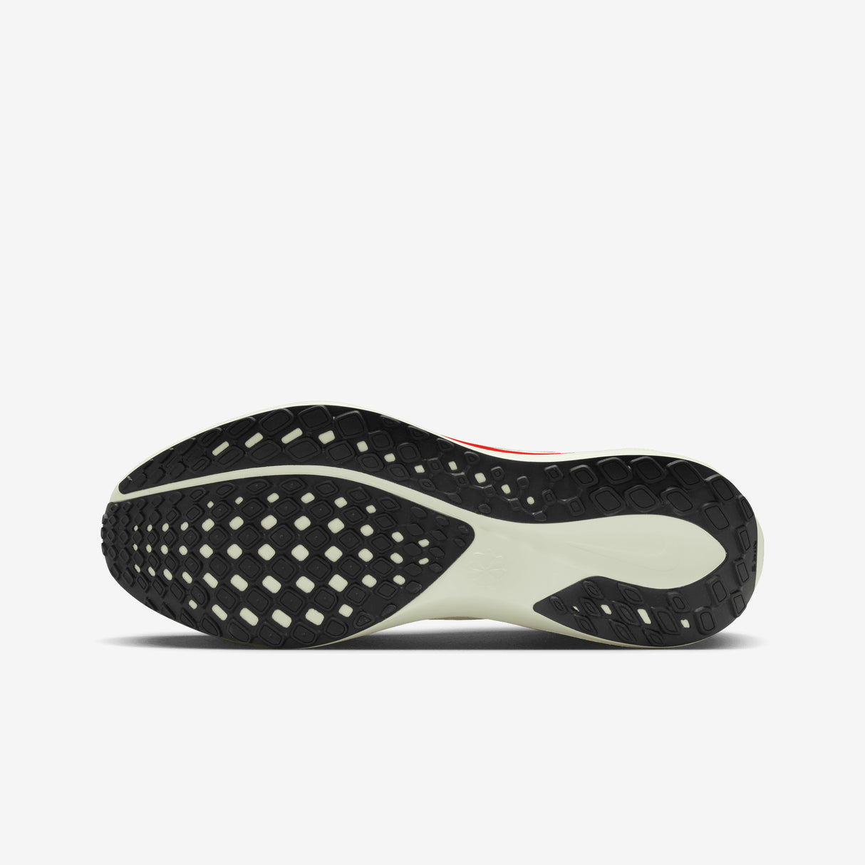 Nike - Pegasus 41 - Men