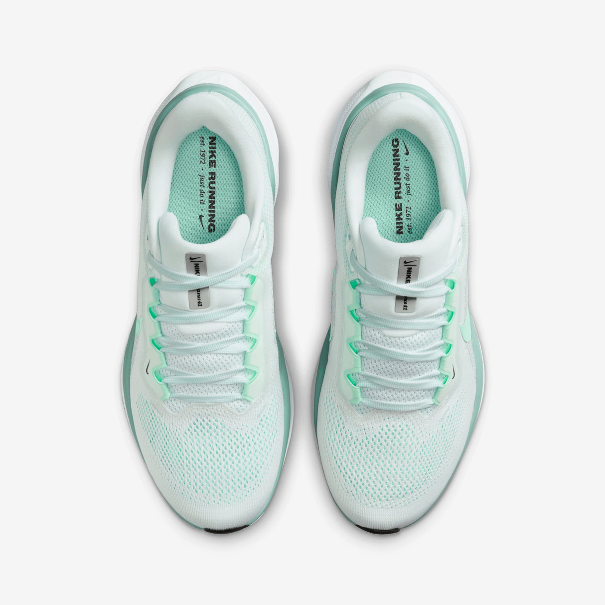 Nike - Pegasus 41 - Women