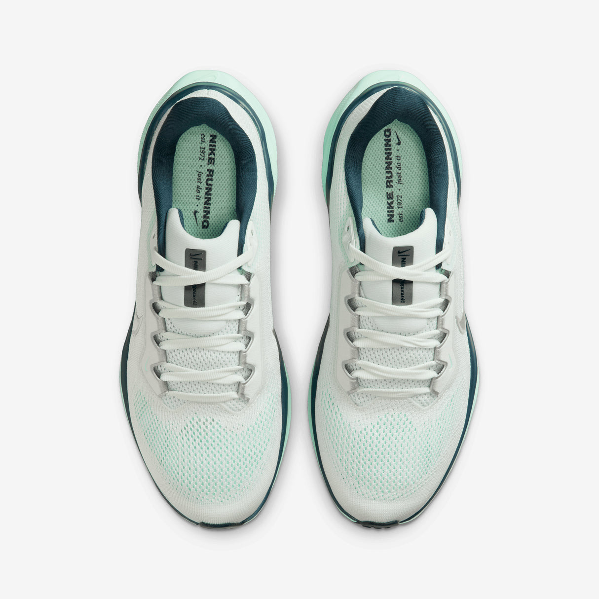 Nike - Pegasus 41 - Women