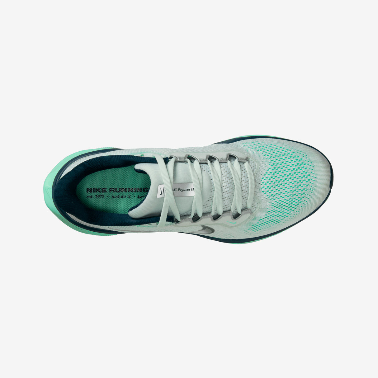 Nike - Pegasus 41 - Women