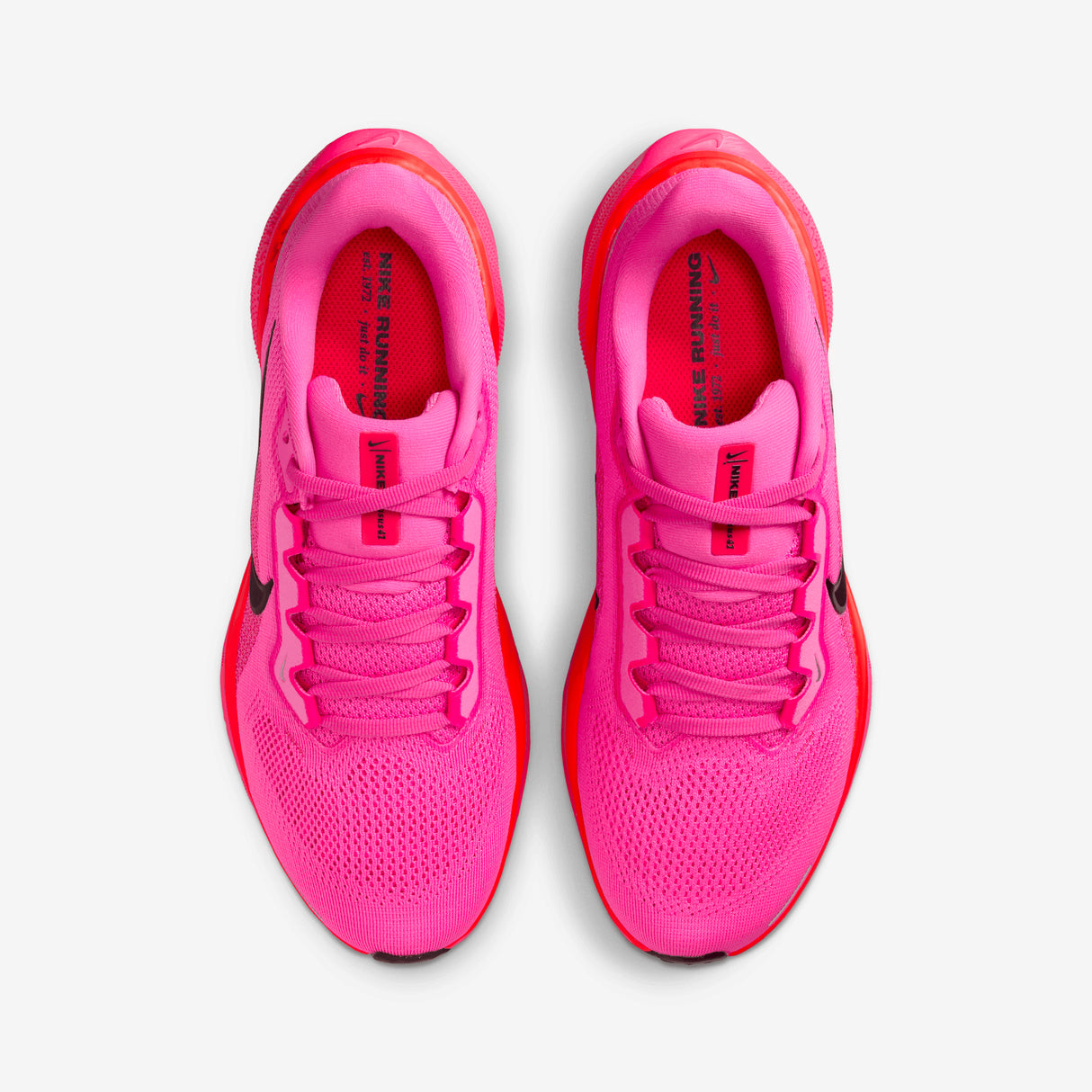 Nike - Pegasus 41 - Women