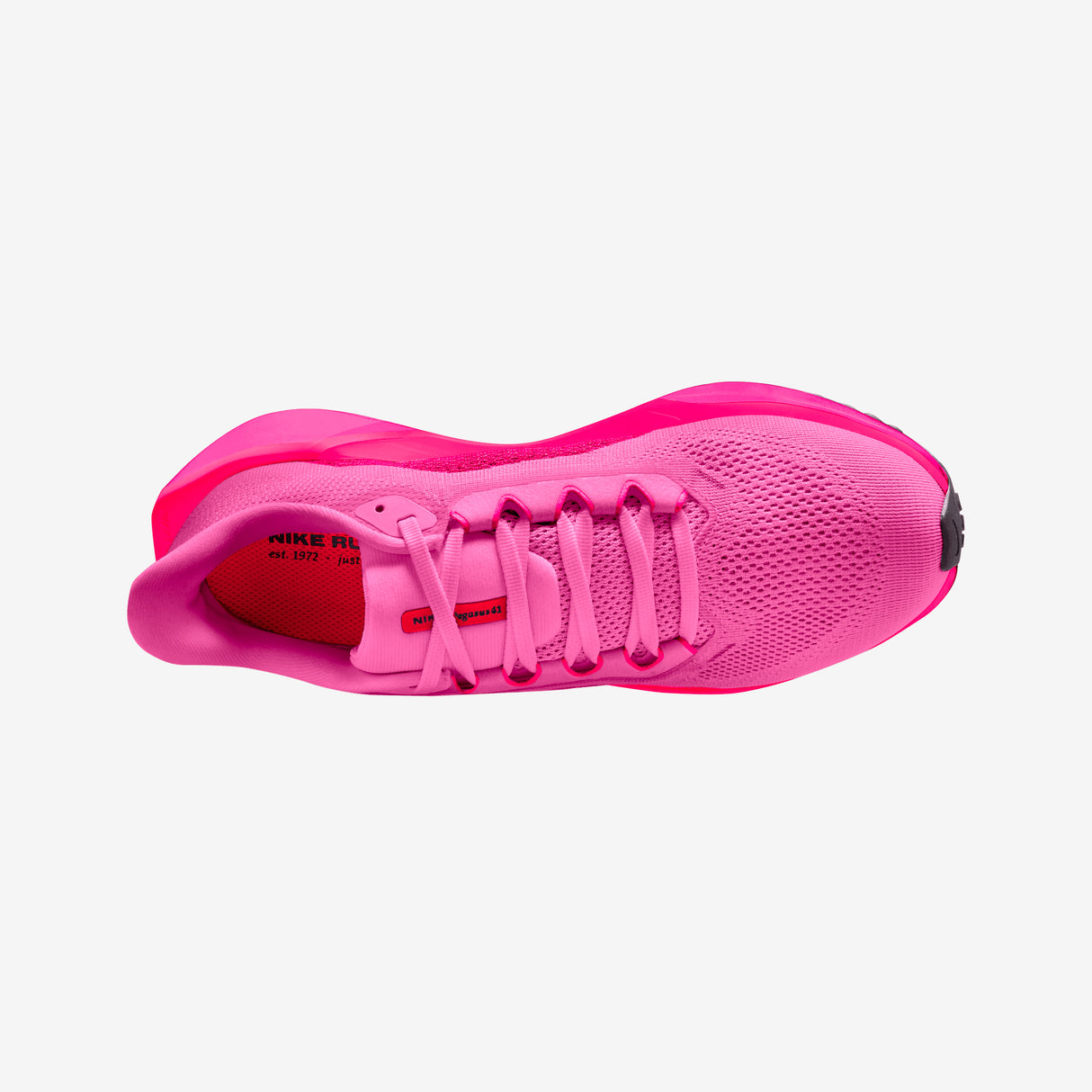 Nike - Pegasus 41 - Women