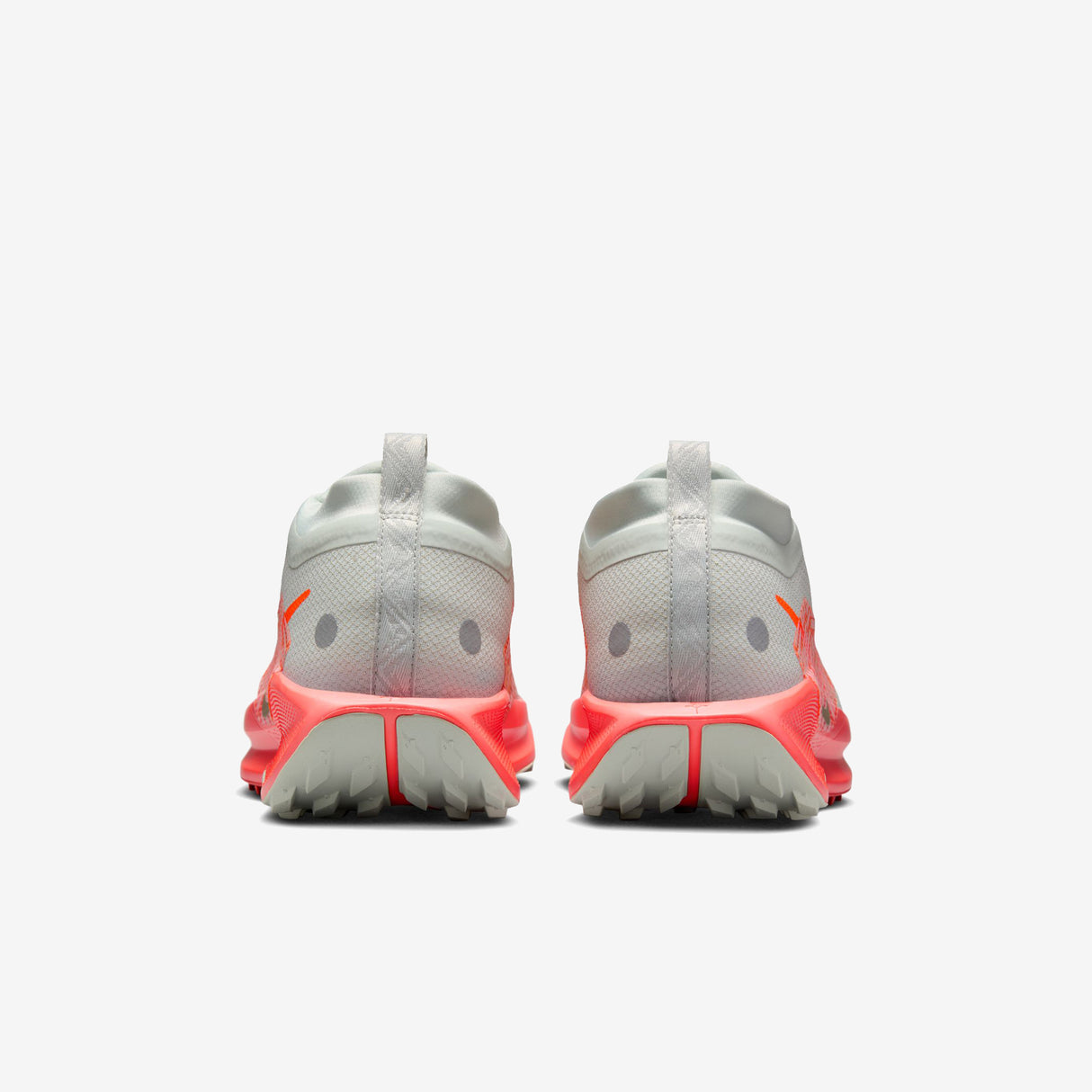 Nike - Pegasus Trail 5 Gore-Tex - Homme