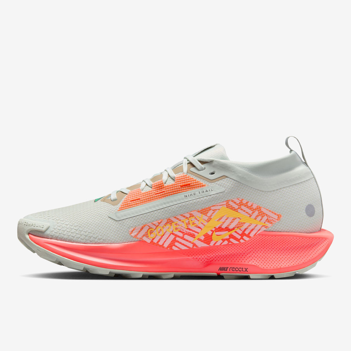 Nike - Pegasus Trail 5 Gore-Tex - Homme