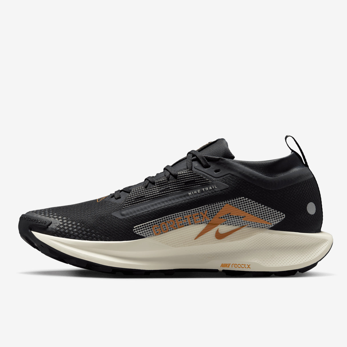 Nike - Pegasus Trail 5 Gore-Tex - Homme