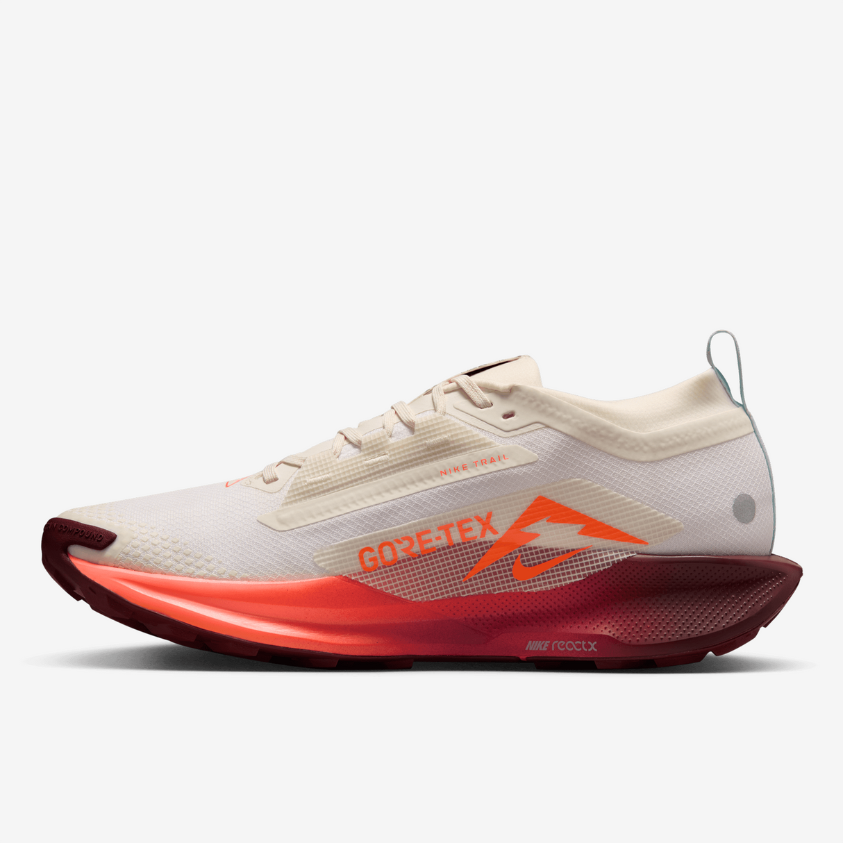 Nike - Pegasus Trail 5 Gore-Tex - Homme