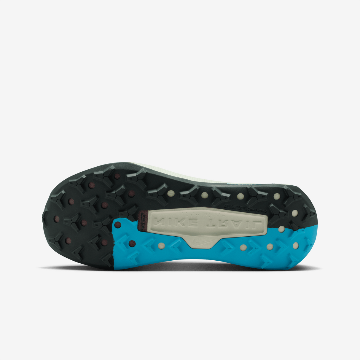 Nike - Wildhorse 10 - Homme