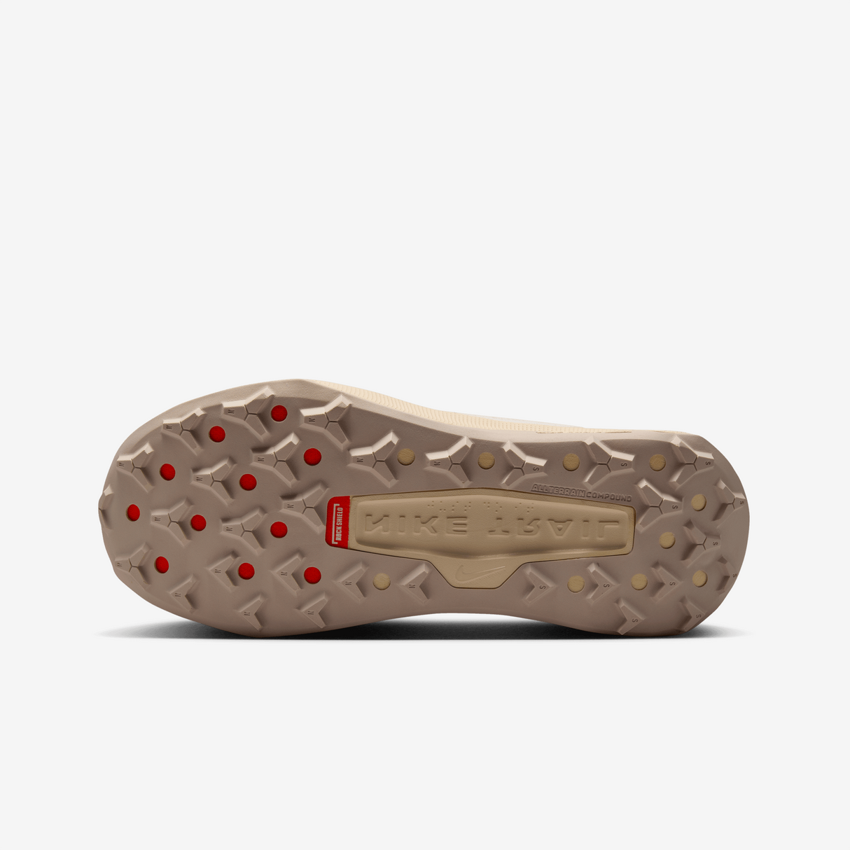 Nike - Wildhorse 10 - Homme