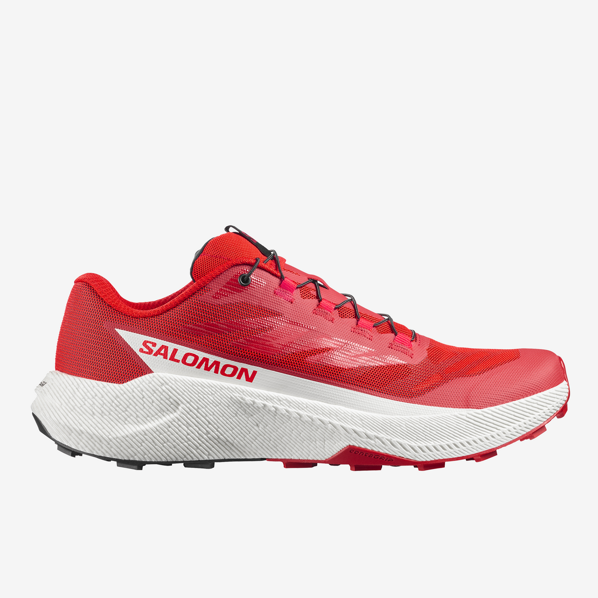 Salomon - Pulsar - Homme