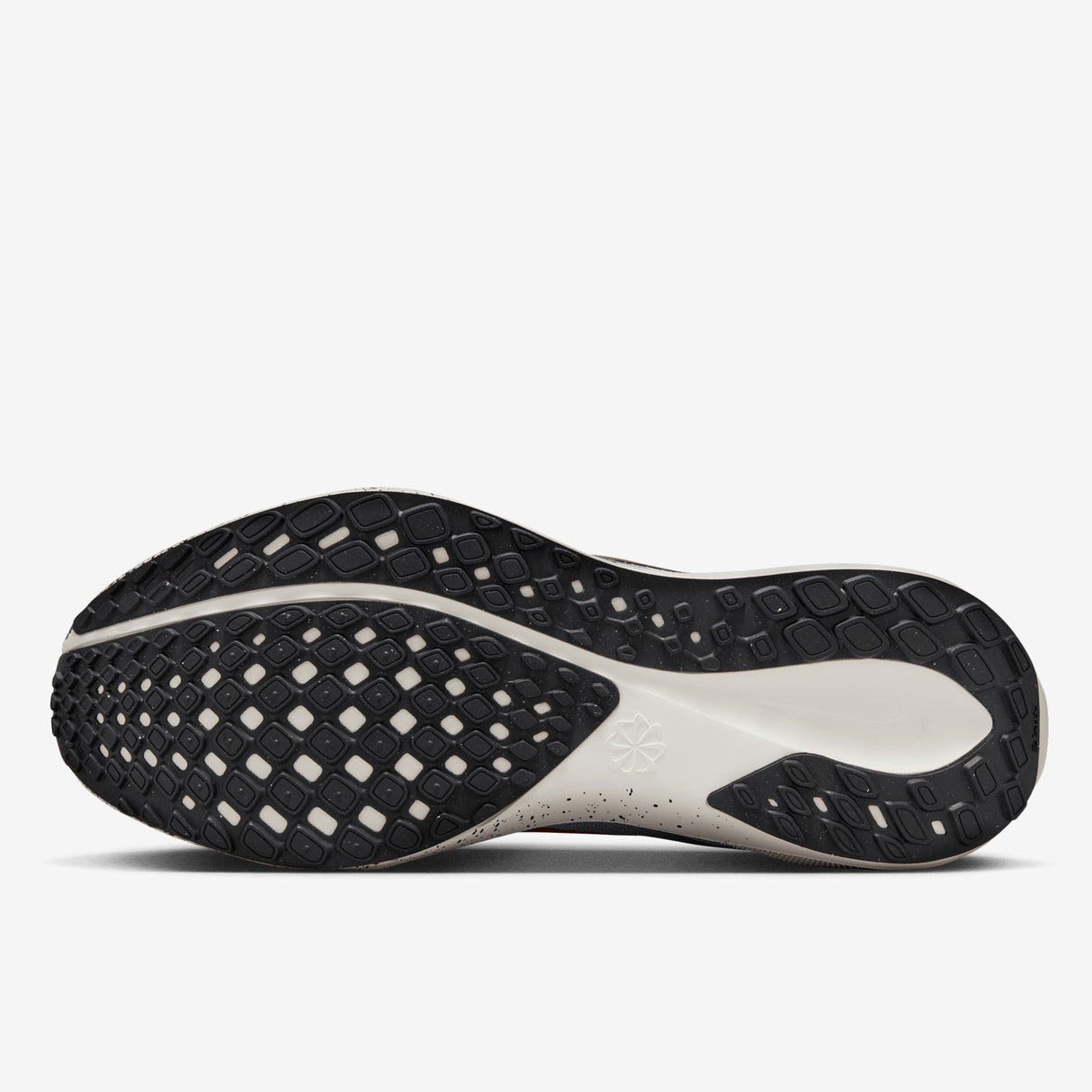 Nike - Pegasus 41 - Men