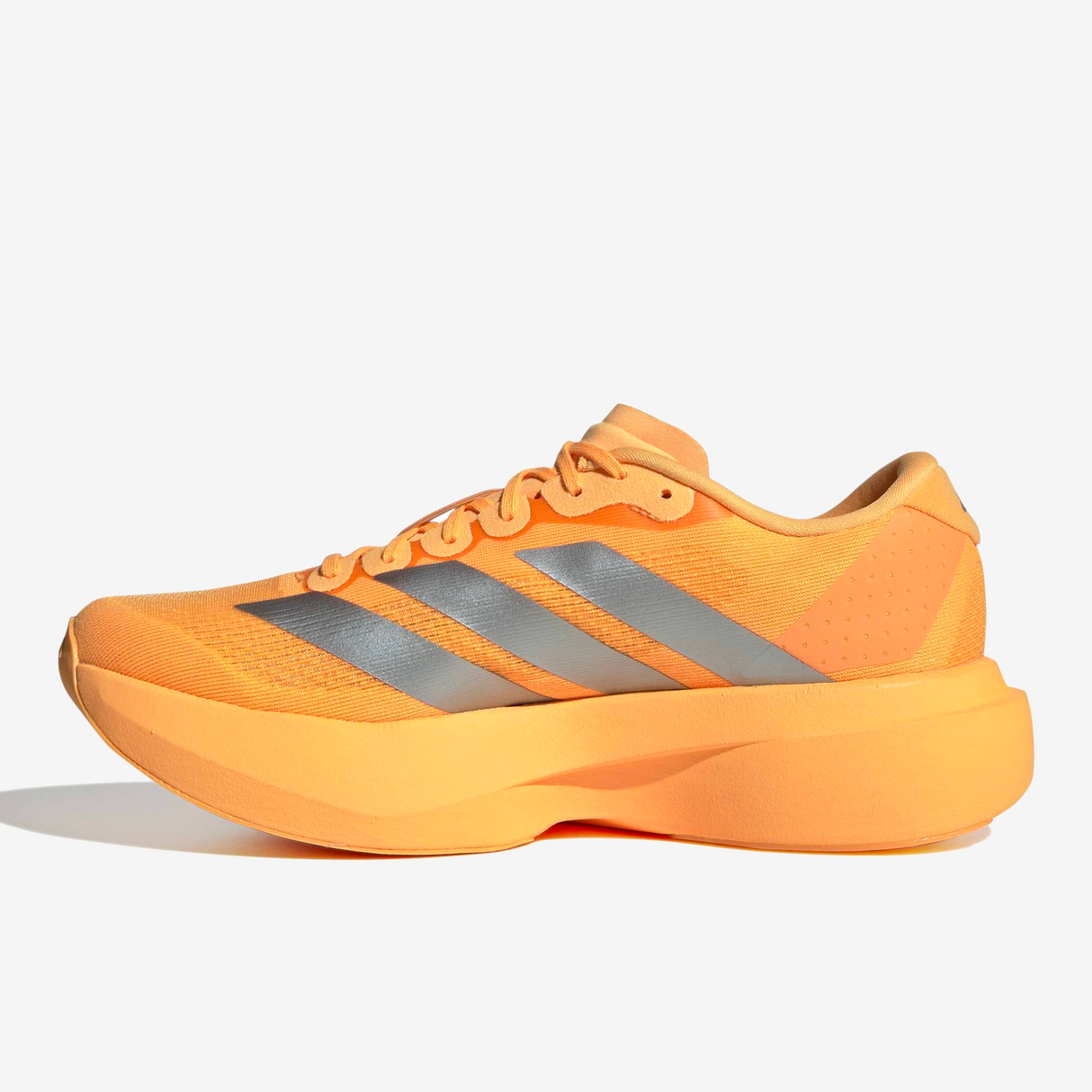 Adidas - Adizero Evo SL - Femme