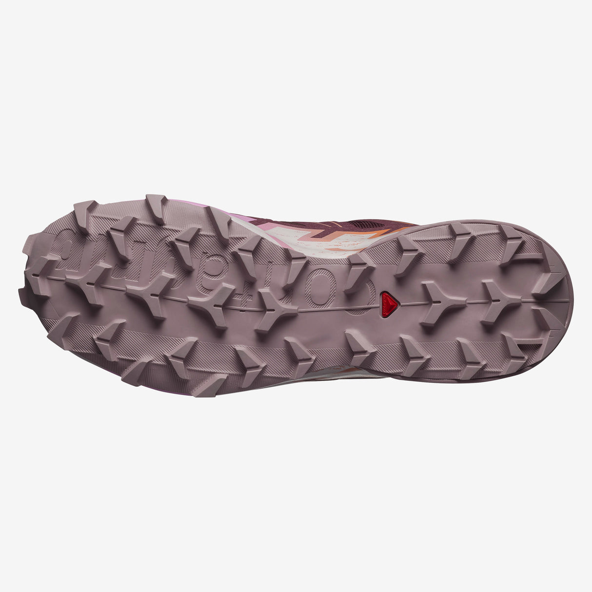 Salomon - Speedcross 6 - Femme