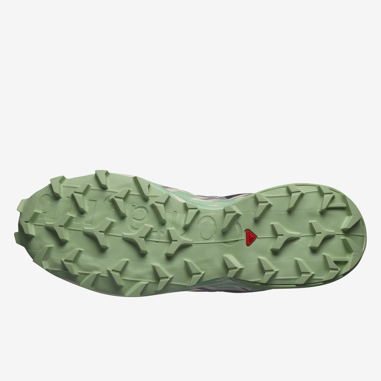 Salomon - Speedcross 6 - Femme