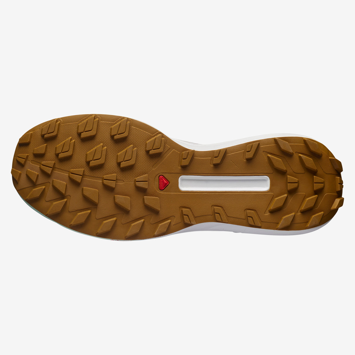 Salomon - S/Lab Genesis Ltd Courtney V2 - Unisexe