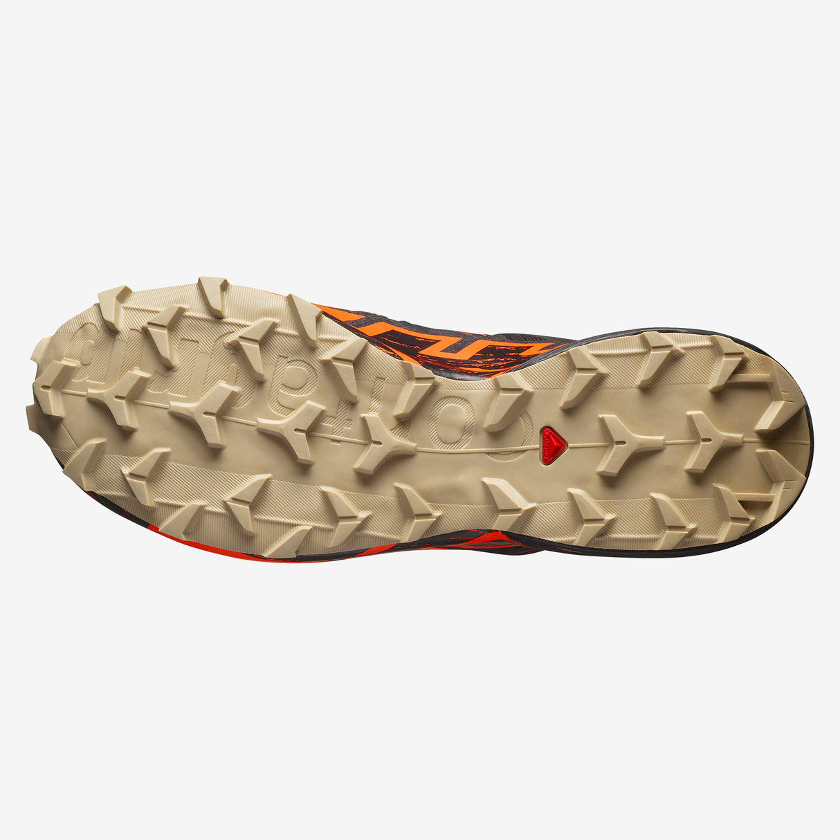 Salomon - Speedcross 6 GTX - Homme