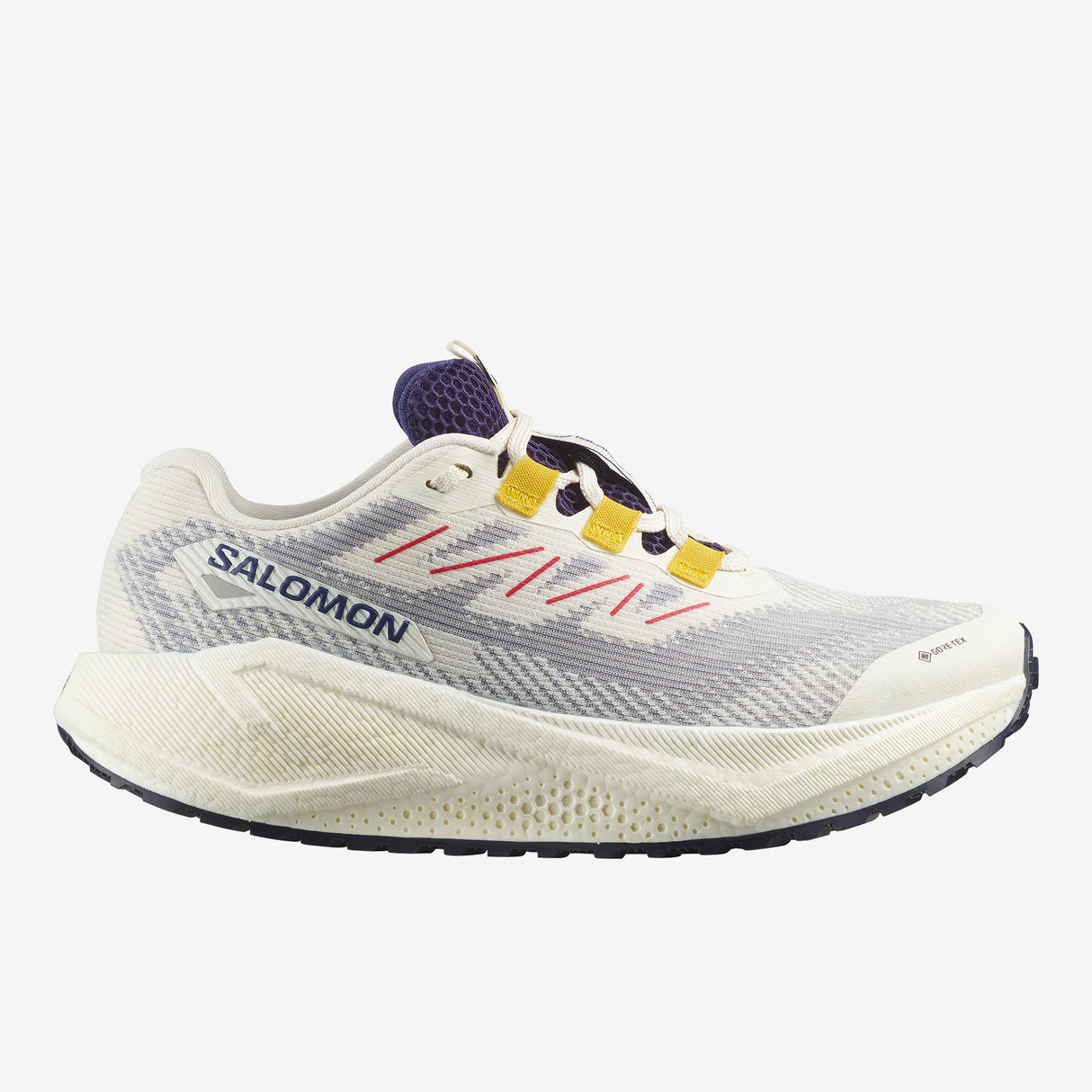 Salomon - Aero Blaze 3 GRVL GTX - Femme