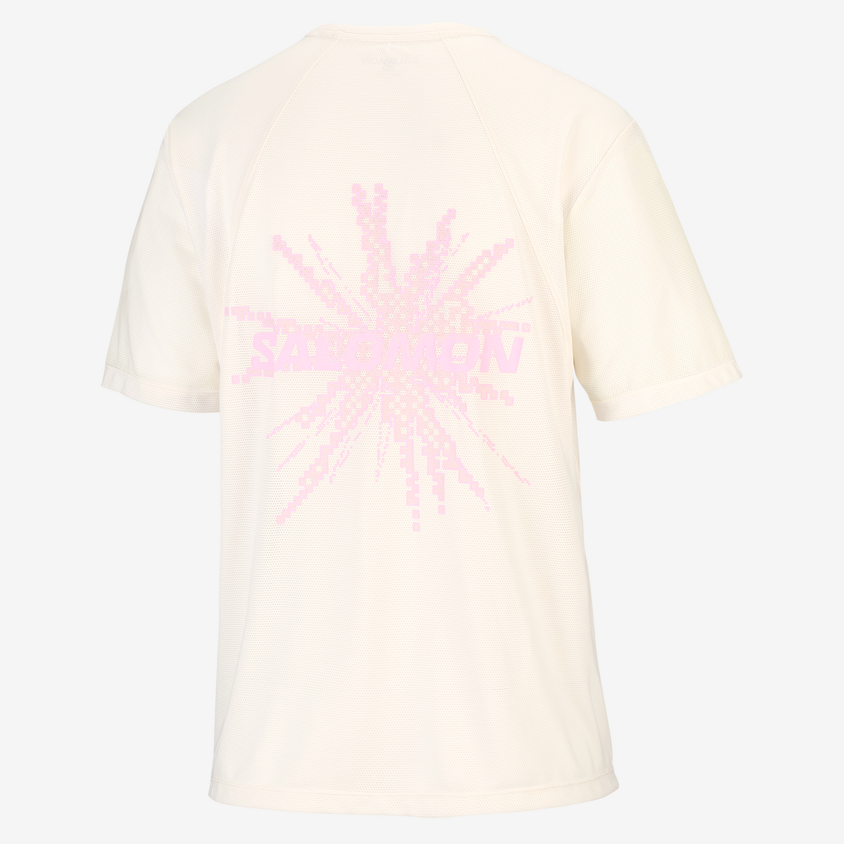 Salomon - Shakeout Core Short Sleeve Tee Graphic - Femme