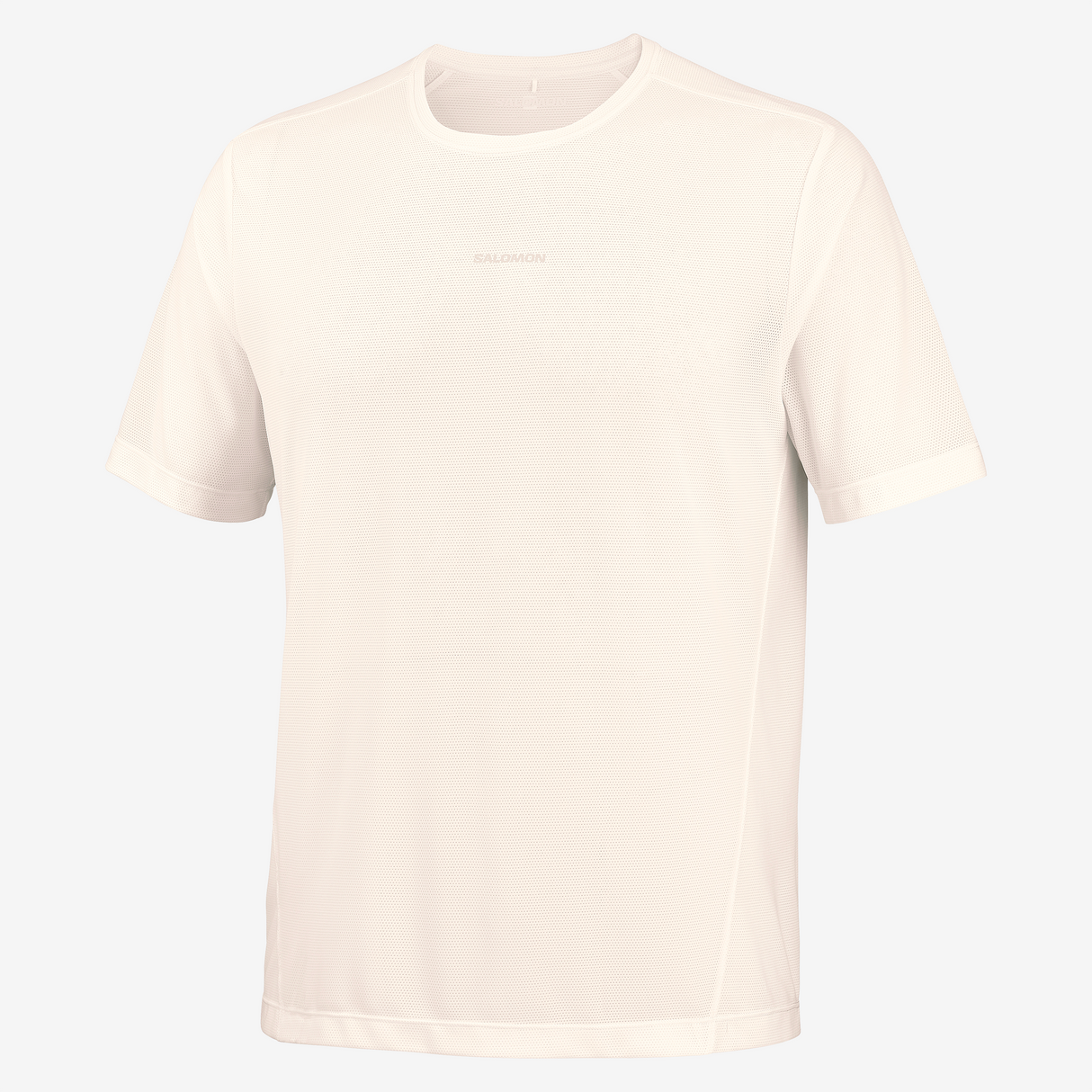Salomon - Shakeout Core Short Sleeve Tee Graphic - Homme