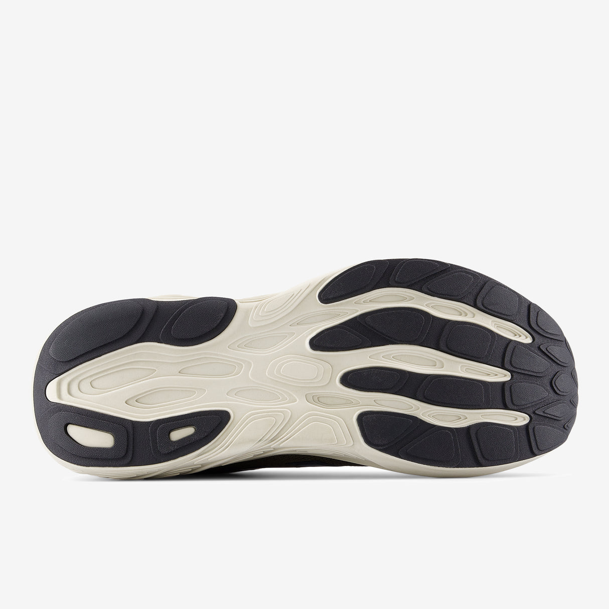 New Balance - Fresh Foam X 880 v15 - Large (suite) - Homme