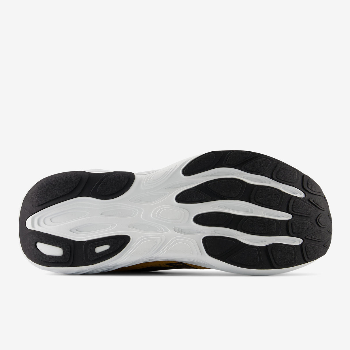 New Balance - Fresh Foam X 880 v15 - Homme