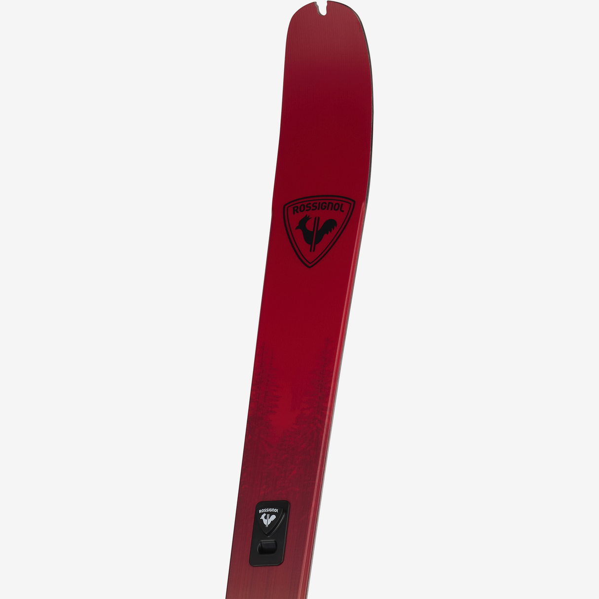 Rossignol - Skis XP 85 POSITRACK