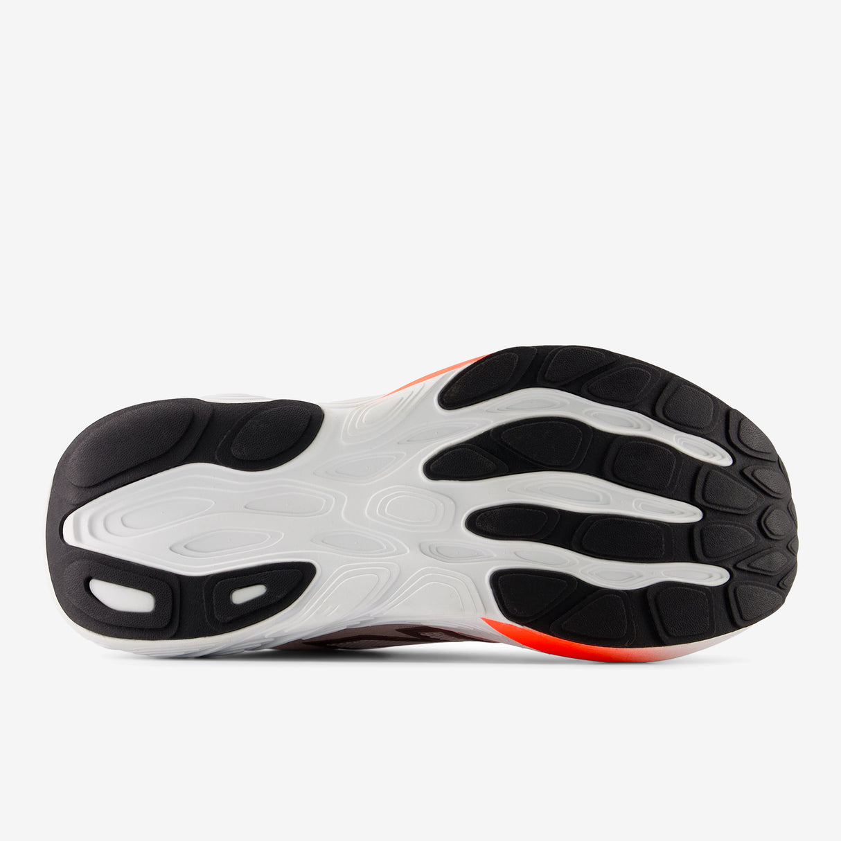 New Balance - Fresh Foam X 880 v15 - Femme - Large