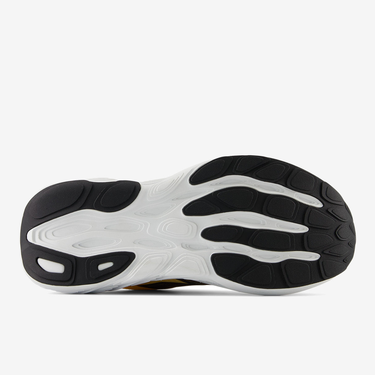 New Balance - Fresh Foam X 880 v15 - Femme