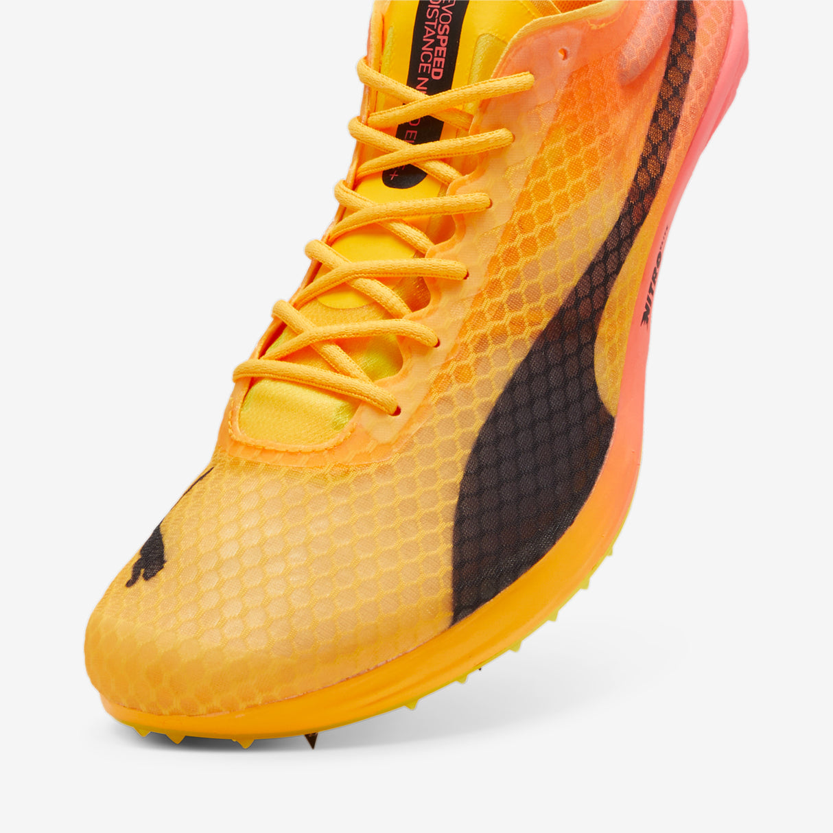 Puma - evoSPEED Distance Nitro Elite + 4 - Unisexe