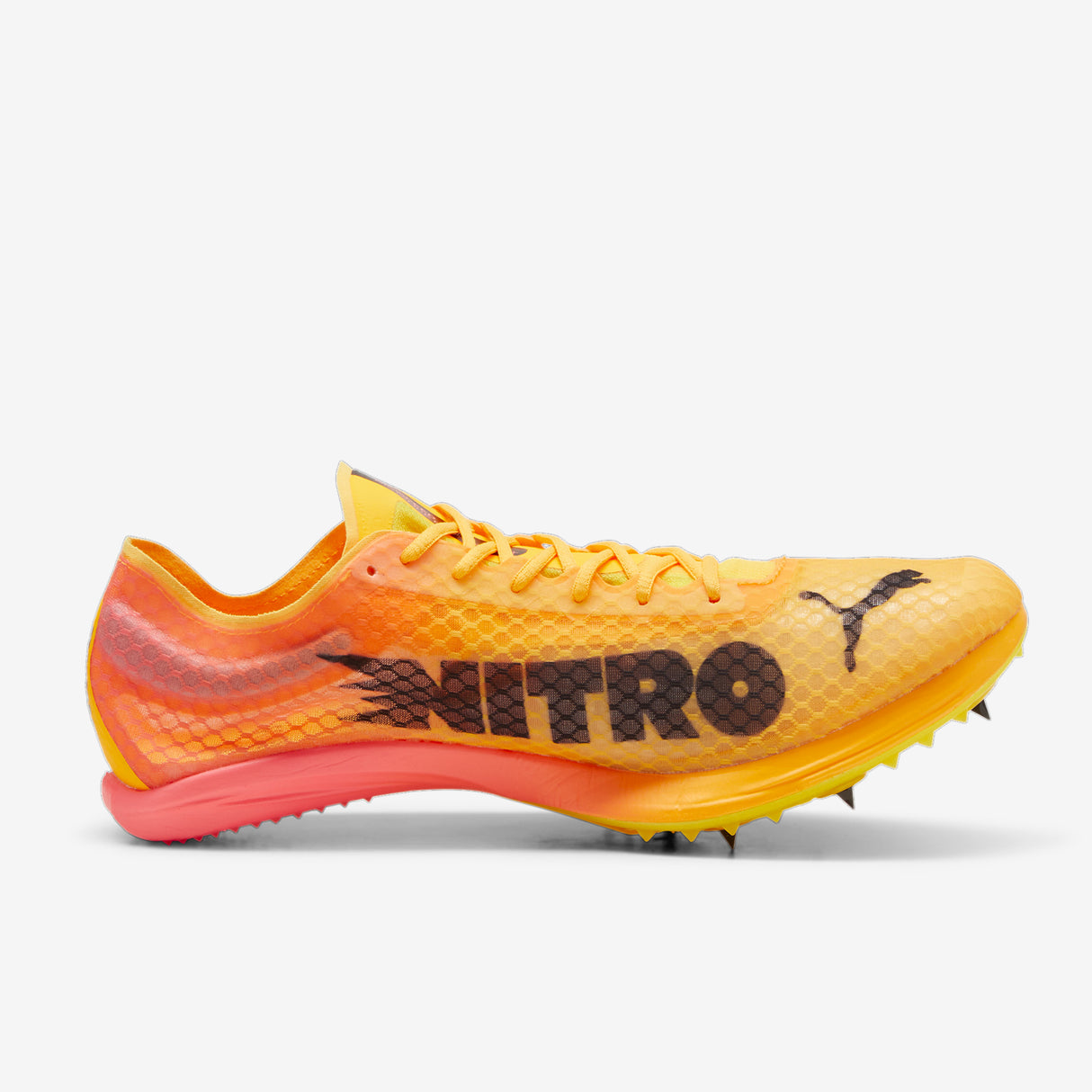 Puma - evoSPEED Distance Nitro Elite + 4 - Unisexe