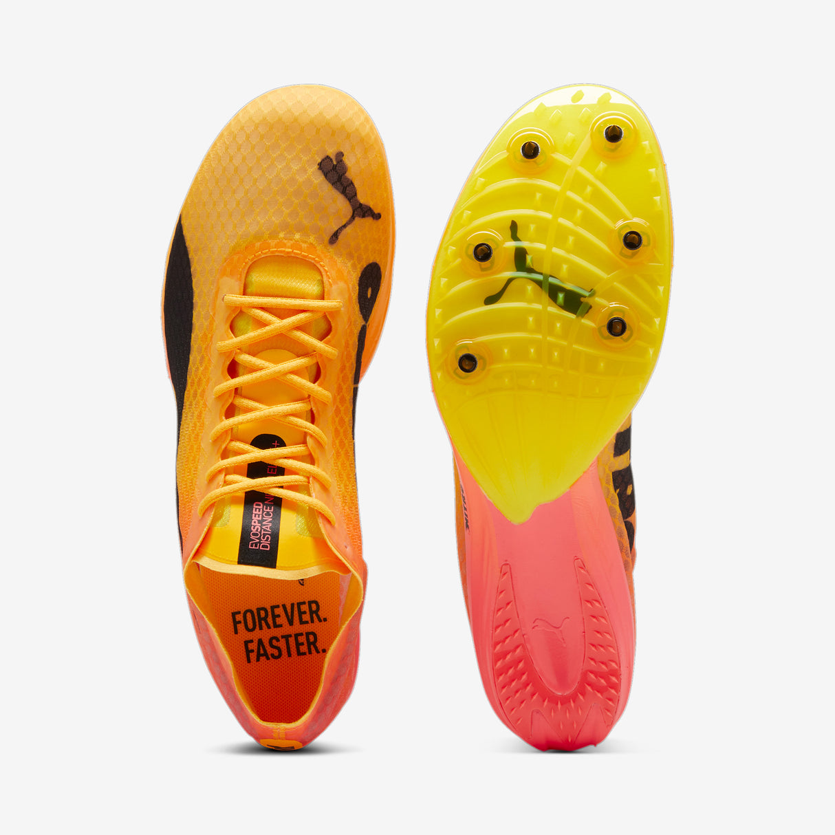Puma - evoSPEED Distance Nitro Elite + 4 - Unisexe