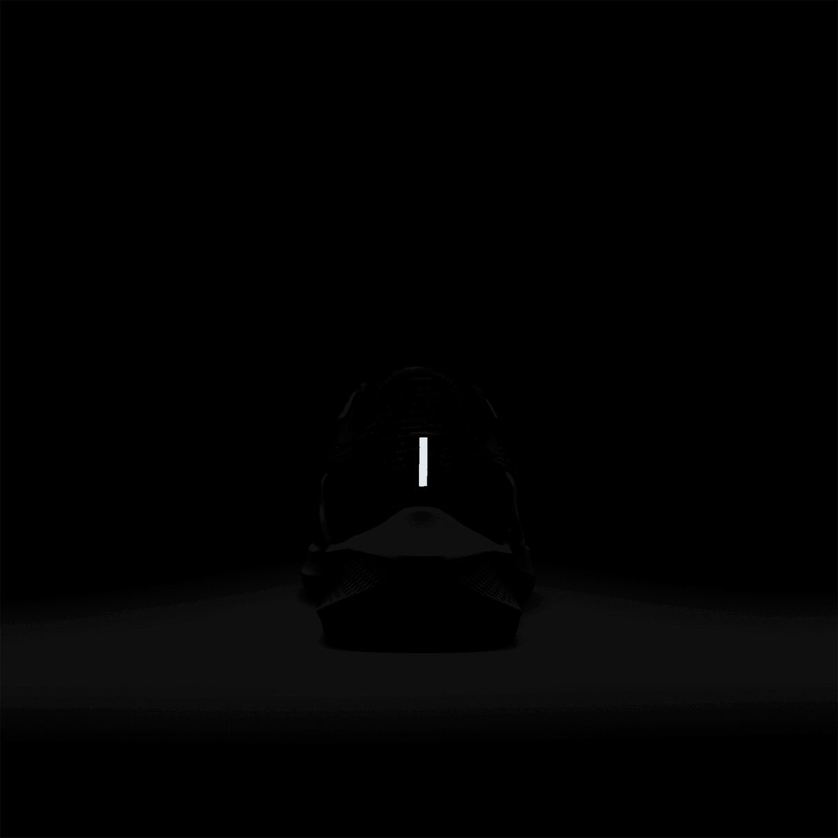 Nike - Air Zoom Pegasus 40 - Femme