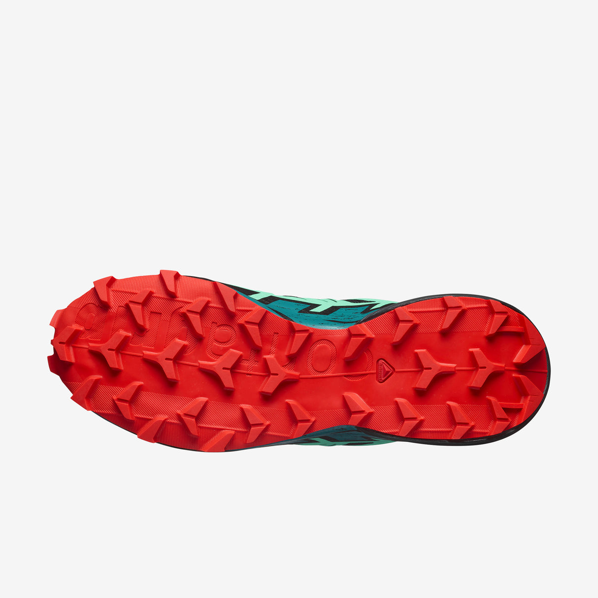 Salomon - Speedcross 6 - Femme